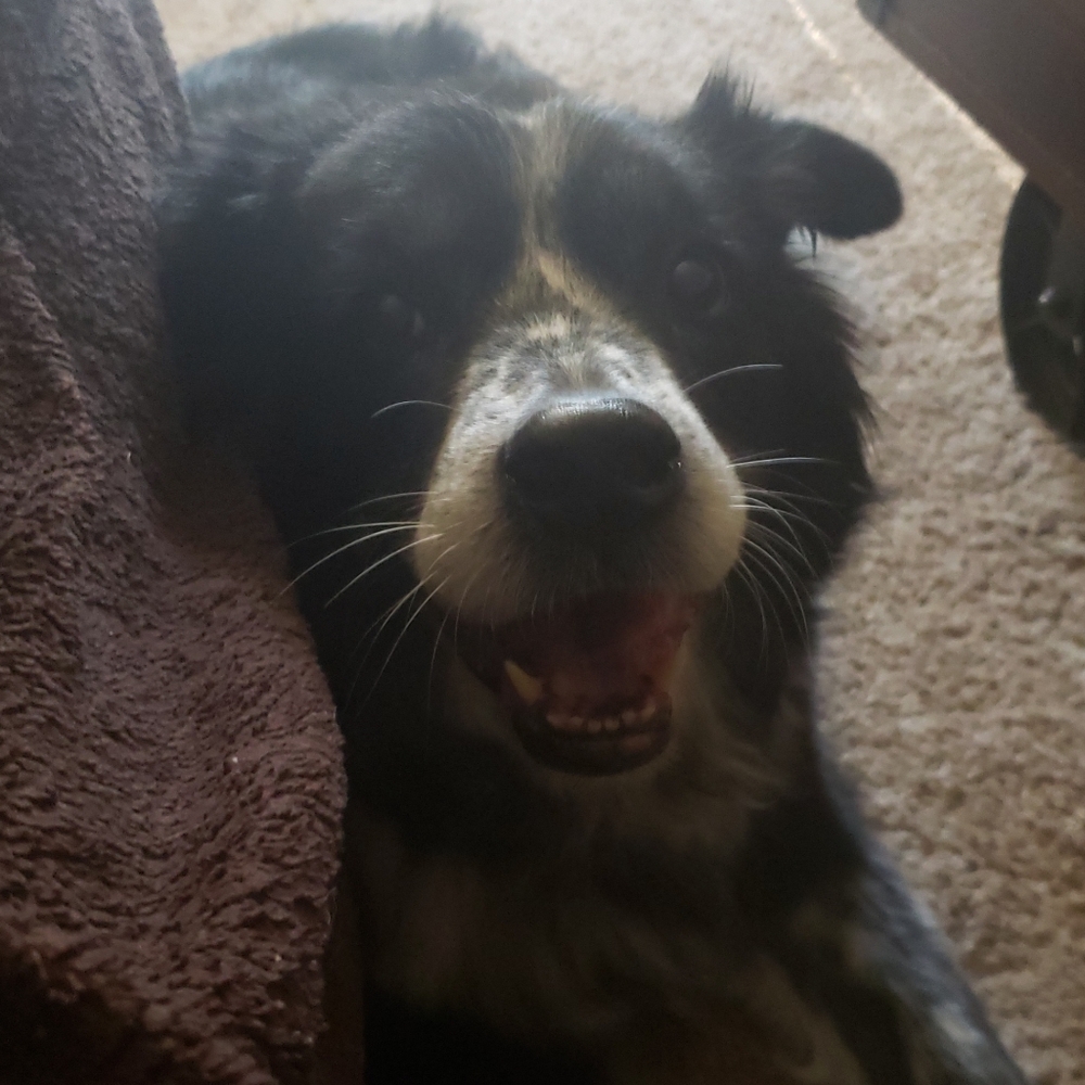 Meet your Posher, Paityn